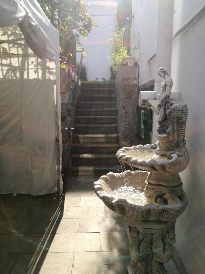 Gaestezimmer & Apartment Mayrhofer ヴァイトホーフェン・アン・デア・イプス エクステリア 写真